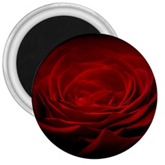 Rose-red-rose-red-flower-petals-waves-glow 3  Magnets by Sapixe