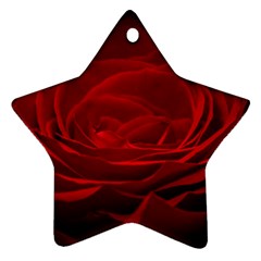 Rose-red-rose-red-flower-petals-waves-glow Ornament (star) by Sapixe