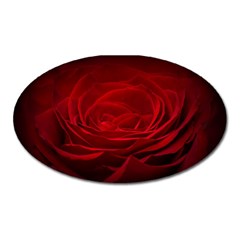 Rose-red-rose-red-flower-petals-waves-glow Oval Magnet by Sapixe