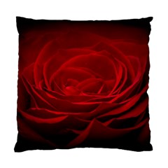 Rose-red-rose-red-flower-petals-waves-glow Standard Cushion Case (one Side) by Sapixe