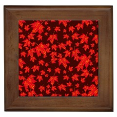 Red Oak And Maple Leaves Framed Tile by Daria3107