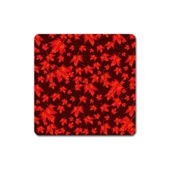 Red Oak And Maple Leaves Square Magnet