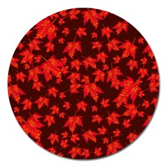 Red Oak And Maple Leaves Magnet 5  (round)