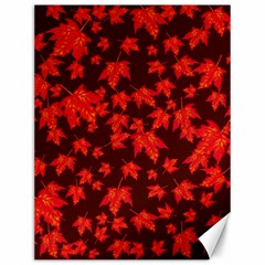 Red Oak And Maple Leaves Canvas 12  X 16  by Daria3107