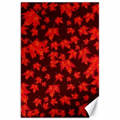 Red Oak And Maple Leaves Canvas 20  X 30  by Daria3107