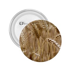 Wheat-field 2 25  Buttons by SomethingForEveryone