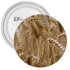 Wheat-field 3  Buttons by SomethingForEveryone