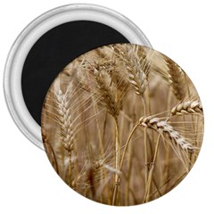 Wheat-field 3  Magnets by SomethingForEveryone