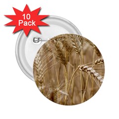 Wheat-field 2 25  Buttons (10 Pack)  by SomethingForEveryone