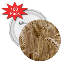 Wheat-field 2 25  Buttons (100 Pack)  by SomethingForEveryone