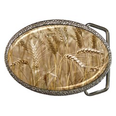 Wheat-field Belt Buckles by SomethingForEveryone