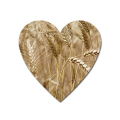 Wheat-field Heart Magnet by SomethingForEveryone