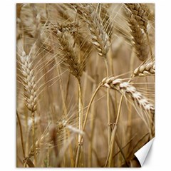 Wheat-field Canvas 8  X 10  by SomethingForEveryone