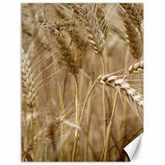 Wheat-field Canvas 12  X 16  by SomethingForEveryone