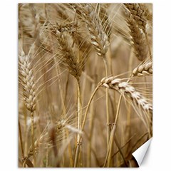 Wheat-field Canvas 16  X 20  by SomethingForEveryone