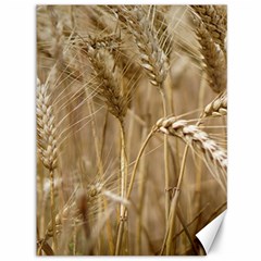 Wheat-field Canvas 36  X 48  by SomethingForEveryone