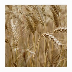 Wheat-field Medium Glasses Cloth (2 Sides)