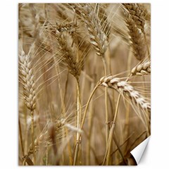 Wheat-field Canvas 11  X 14  by SomethingForEveryone