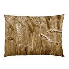 Wheat-field Pillow Case by SomethingForEveryone