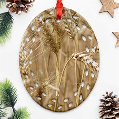 Wheat-field Oval Filigree Ornament (two Sides) by SomethingForEveryone