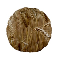 Wheat-field Standard 15  Premium Round Cushions by SomethingForEveryone