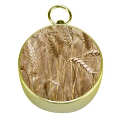 Wheat-field Gold Compasses by SomethingForEveryone