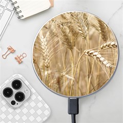 Wheat-field Wireless Charger