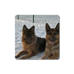 2 German Shepherds Square Magnet by SomethingForEveryone