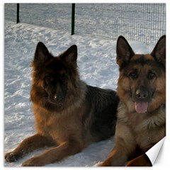 2 German Shepherds Canvas 12  X 12  by SomethingForEveryone