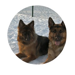 2 German Shepherds Mini Round Pill Box by SomethingForEveryone