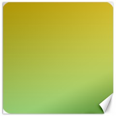 Gradient Yellow Green Canvas 12  X 12  by ddcreations