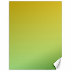 Gradient Yellow Green Canvas 12  X 16  by ddcreations