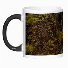 Landscape-cannon-river-mountain Morph Mugs