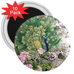 Peafowl Peacock Feather-beautiful 3  Magnets (10 Pack)  by Sudhe