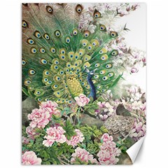 Peafowl Peacock Feather-beautiful Canvas 12  X 16  by Sudhe