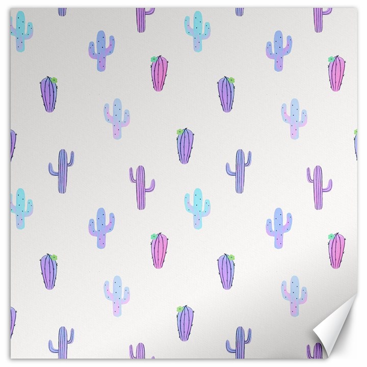 Purple And Blue Cacti Canvas 20  x 20 