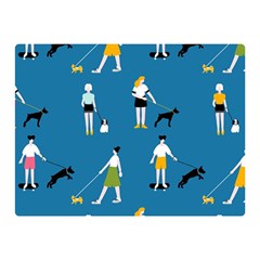 Girls Walk With Their Dogs Double Sided Flano Blanket (mini)  by SychEva