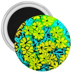 Chrysanthemums 3  Magnets by Hostory