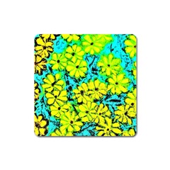 Chrysanthemums Square Magnet by Hostory