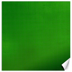 Metallic Mesh Screen 2-green Canvas 16  x 16 