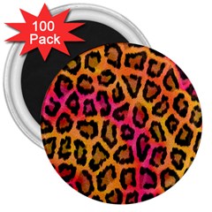 Leopard Print 3  Magnets (100 pack)