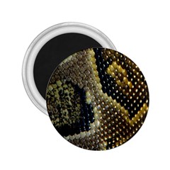 Leatherette Snake 2 2 25  Magnets by skindeep