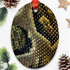 Leatherette Snake 2 Ornament (oval) by skindeep