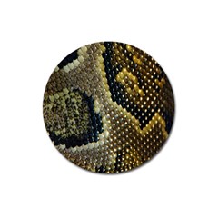 Leatherette Snake 2 Magnet 3  (round) by skindeep