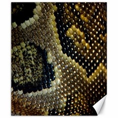 Leatherette Snake 2 Canvas 8  X 10  by skindeep