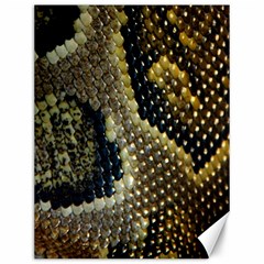 Leatherette Snake 2 Canvas 12  X 16  by skindeep