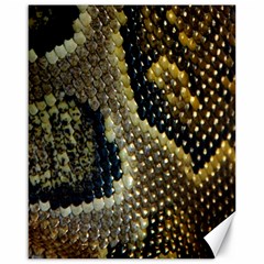 Leatherette Snake 2 Canvas 16  X 20  by skindeep