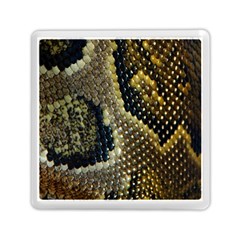 Leatherette Snake 2 Memory Card Reader (square) by skindeep