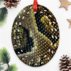 Leatherette Snake 2 Ornament (oval Filigree) by skindeep