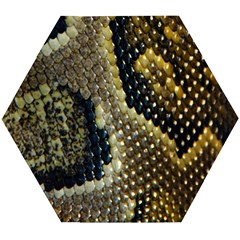 Leatherette Snake 2 Wooden Puzzle Hexagon by skindeep